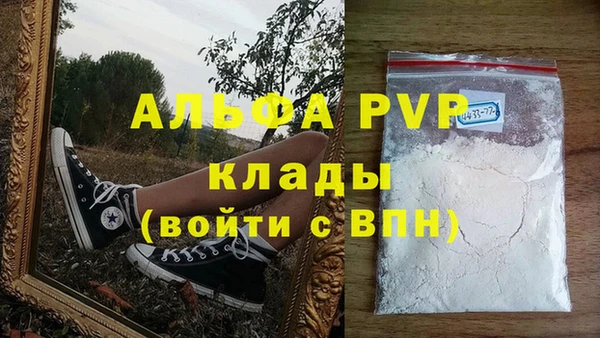 стафф Алзамай