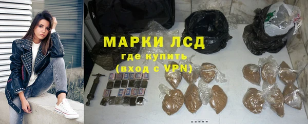 стафф Алзамай