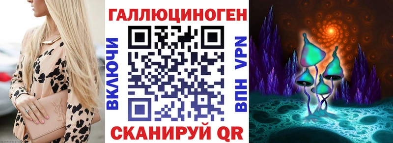 Галлюциногенные грибы Cubensis  KRAKEN как зайти  Берёзовский 
